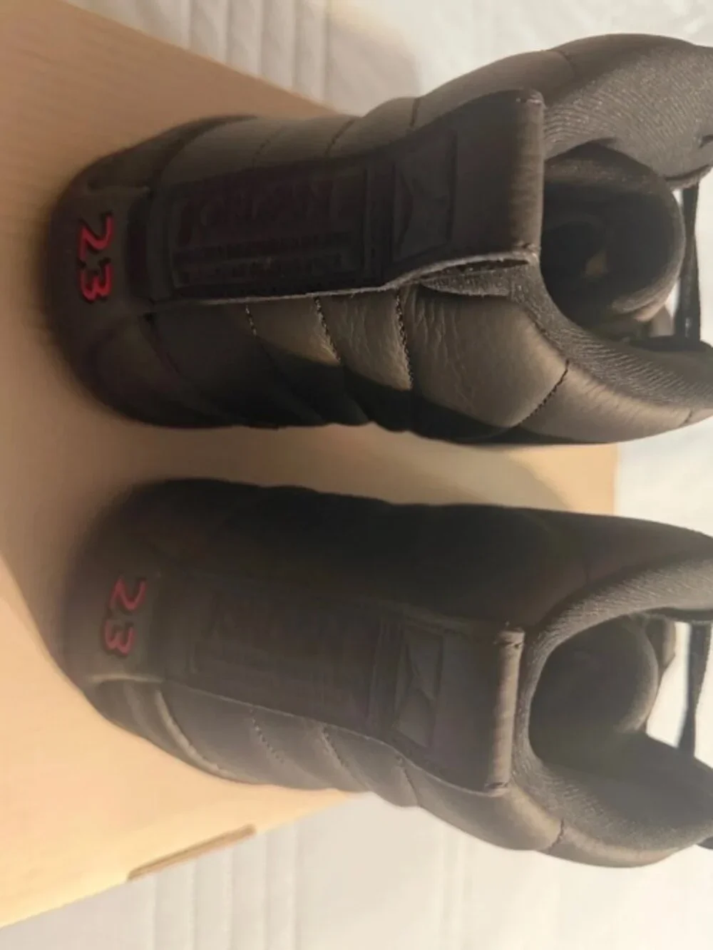Jordan 12 Bloodline